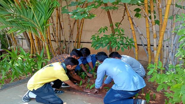 Nss-activity